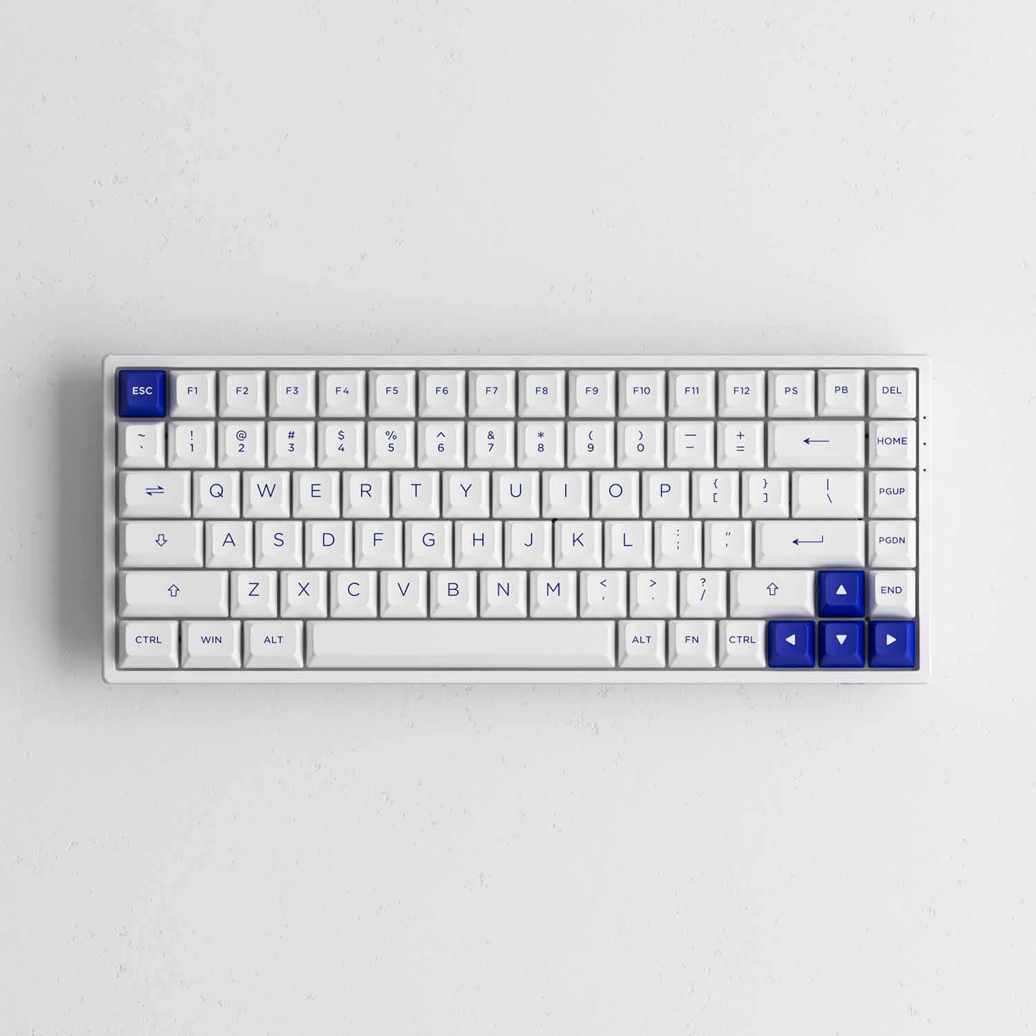 Gaming Gear AKKO 3084B Plus Blue on White