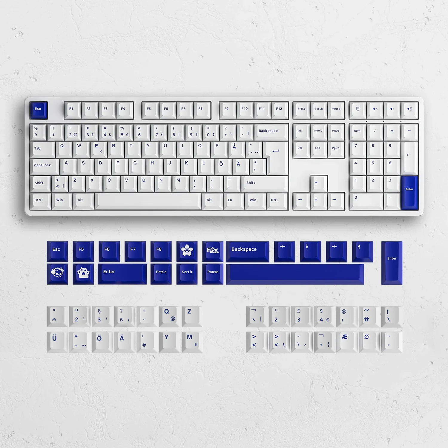 Gaming Gear AKKO 5108B Plus Blue on White