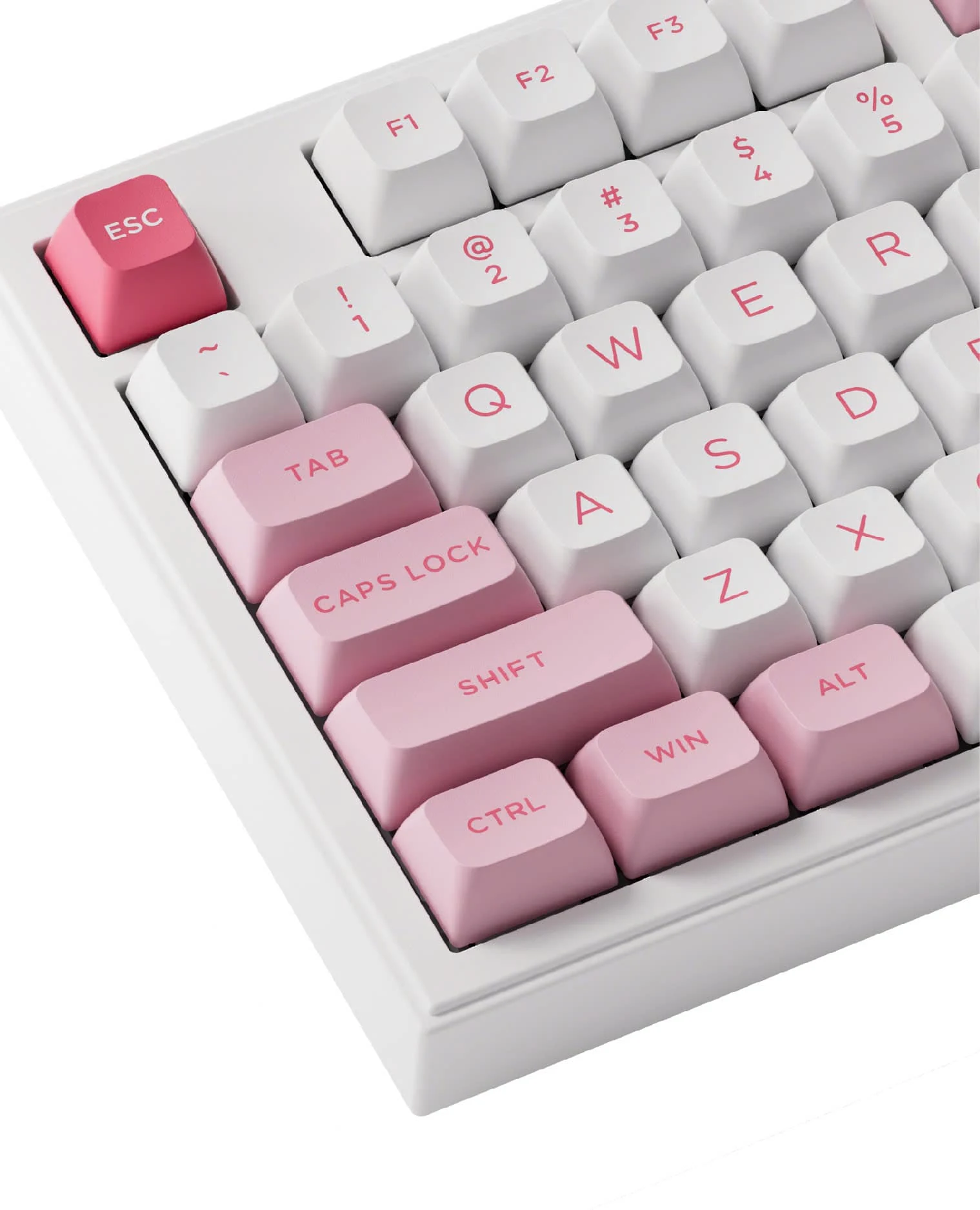 Gaming Gear AKKO Bàn di Prunus Lannesiana