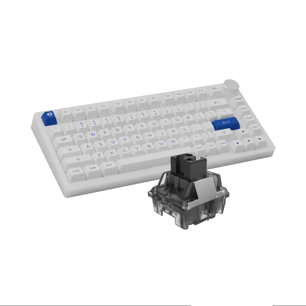 Gaming Gear AKKO PC75B Plus Blue on White