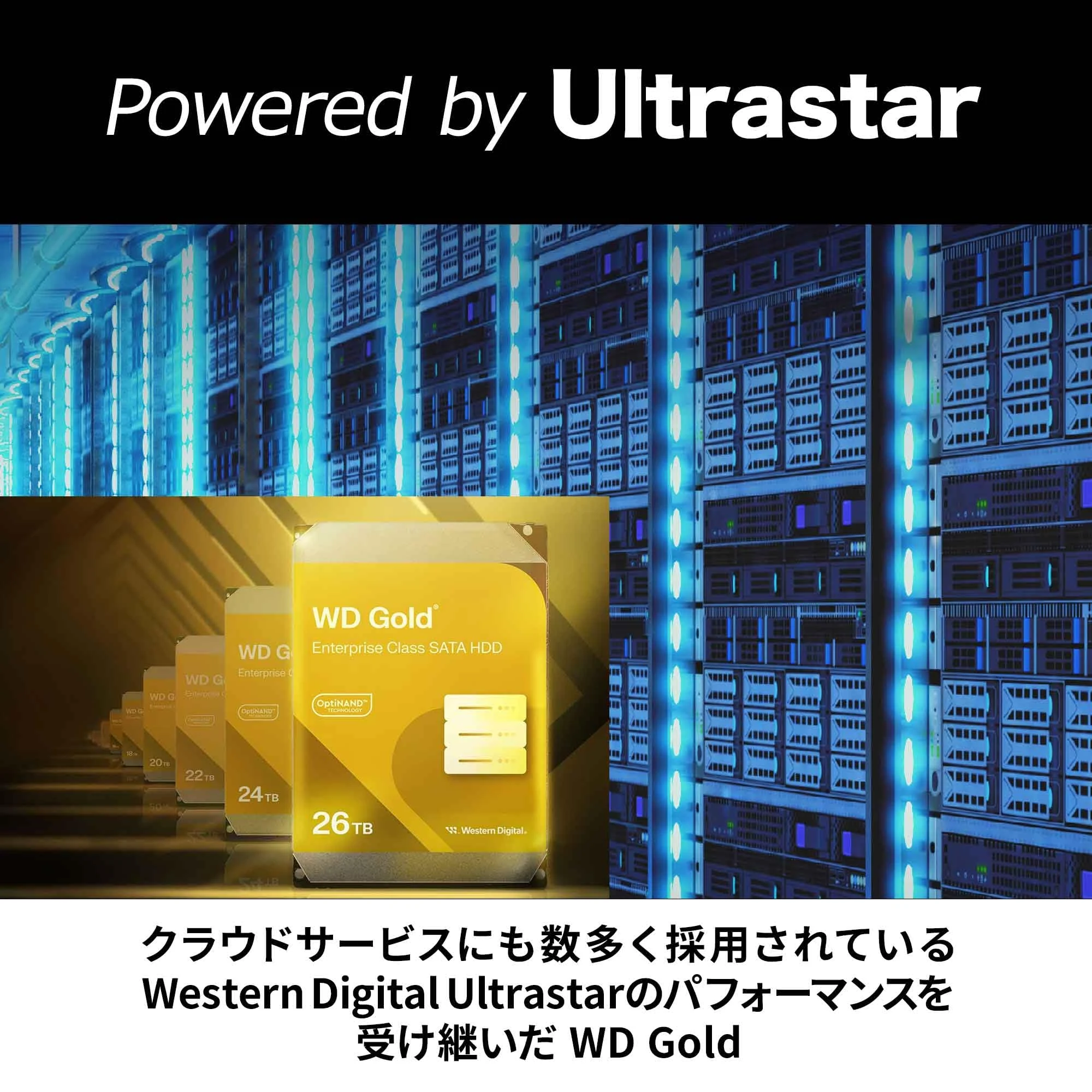 HDD WD Gold 24TB 3.5 inch - WD242KRYZ