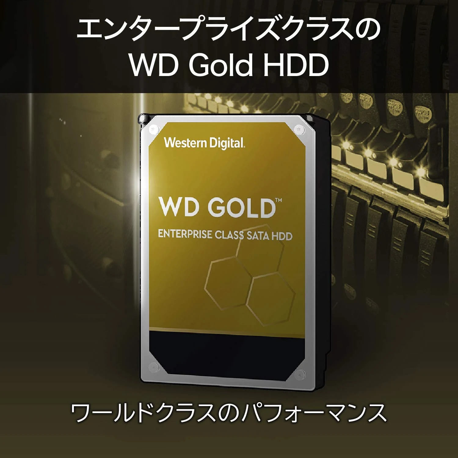 HDD WD Gold 6TB 3.5 inch - WD6003FRYZ