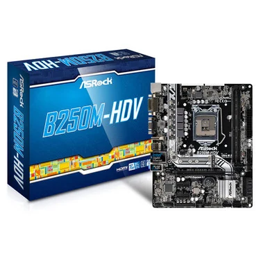 Mainboard ASRock B250M-HDS - LGA 1151 - NEW