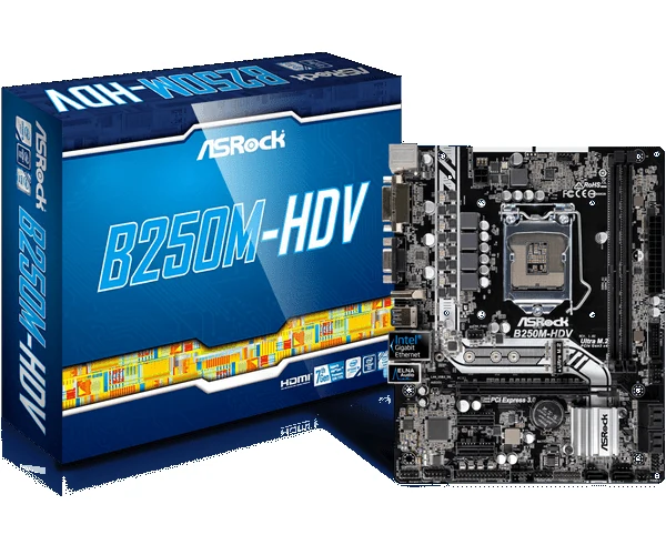 Mainboard ASRock B250M-HDV - LGA 1151 - NEW