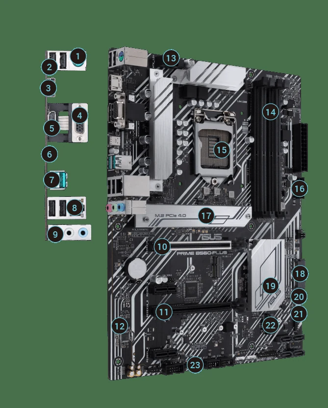 Mainboard ASUS PRIME B560-PLUS - LGA 1200 - NEW