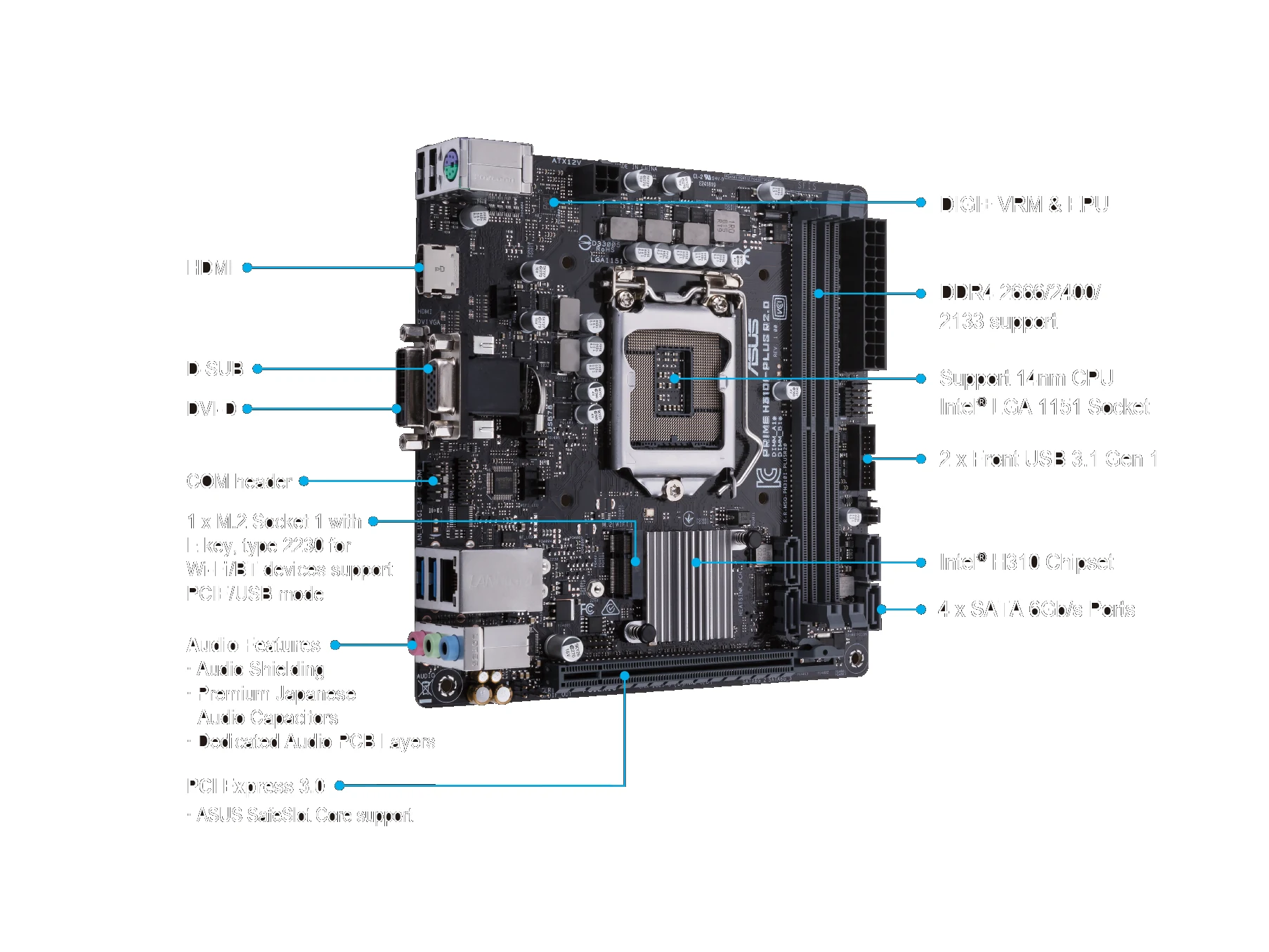 Mainboard ASUS PRIME H310-PLUS - LGA 1151 - NEW