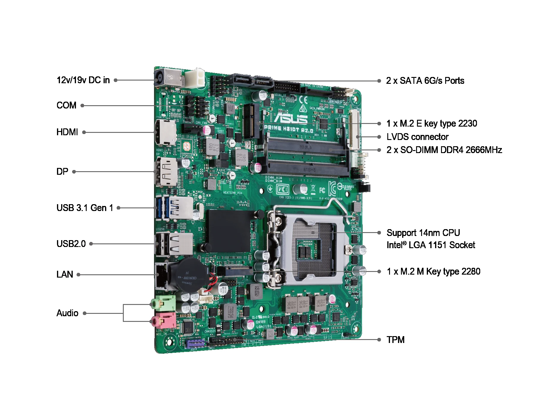 Mainboard ASUS PRIME H310T - LGA 1151 - NEW