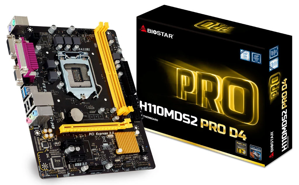 Mainboard Biostar H110MDS2 PRO D4