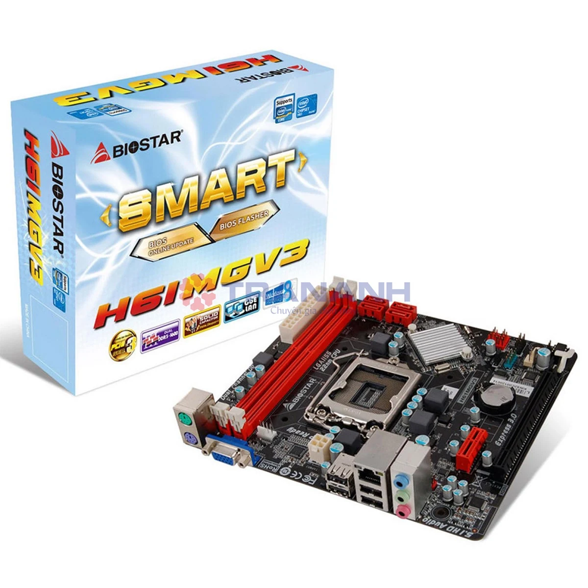Mainboard Biostar H110MGV3