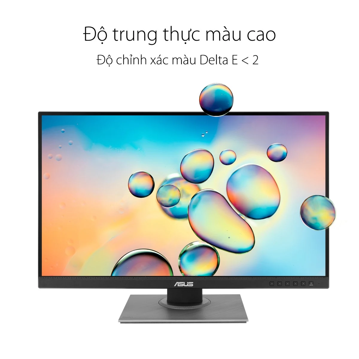 Màn hình Asus ProArt Display PA248QV - 24,1 inch - WUXGA - IPS - 75HZ - New