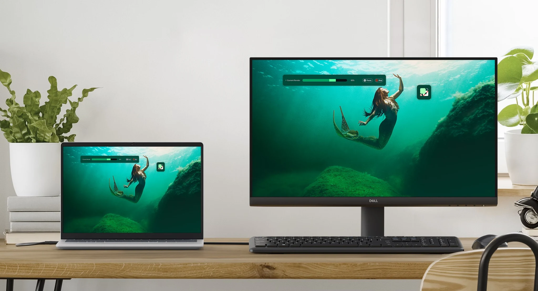 Màn Hình Dell SE2425HM - 23,8 inch - FHD - IPS - 100HZ - New