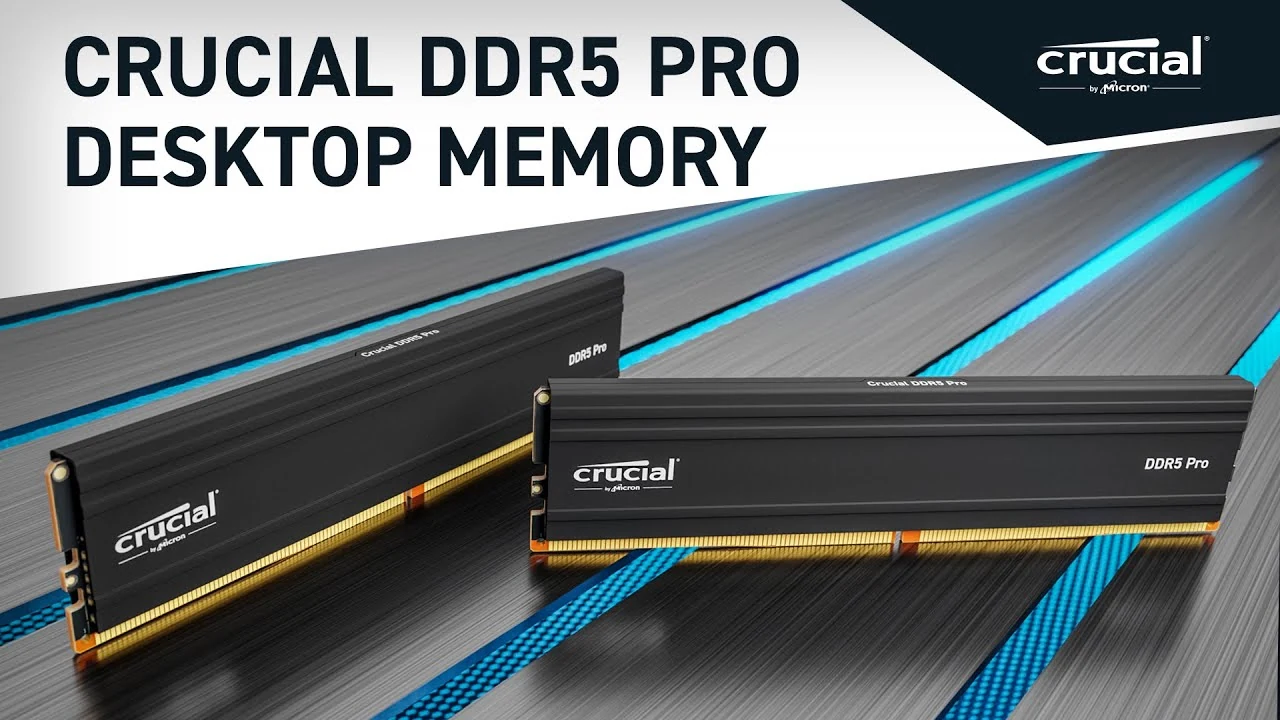 RAM Crucial Pro DDR5 UDIMM 16GB 5600MHz - CP16G56C46U5