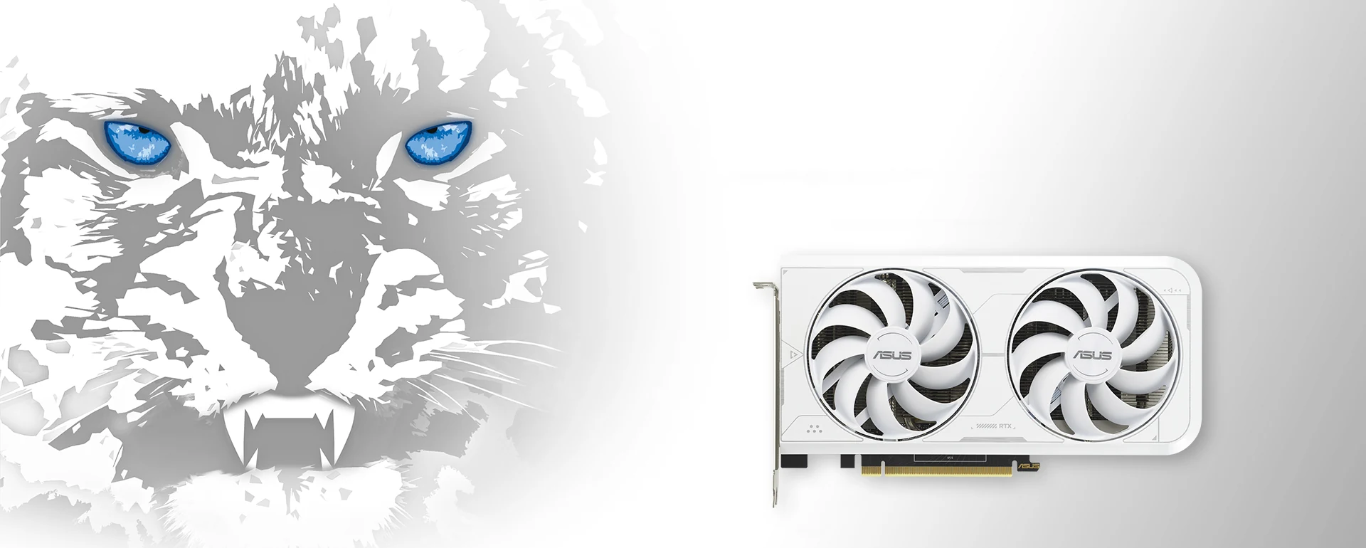 VGA ASUS Dual GeForce RTX 3060 Ti White OC Edition 8GB - GDDR6X - NEW